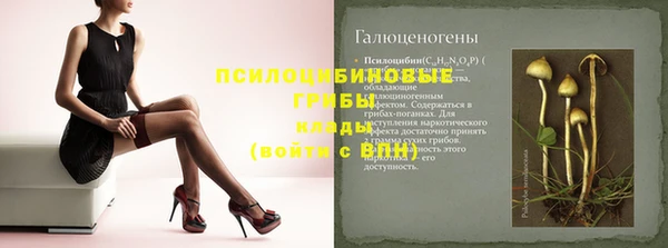 стаф Алексеевка
