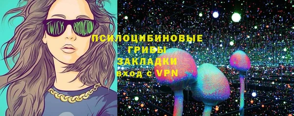 СК Зеленокумск